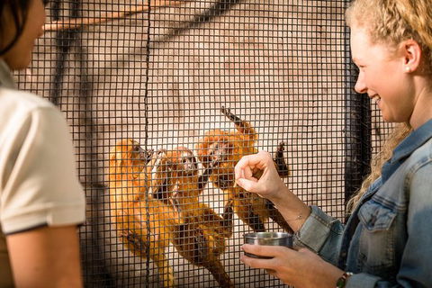 Adelaide Zoo Behind The Scenes Experience: Meet The Primates - Accommodation Kalgoorlie 0