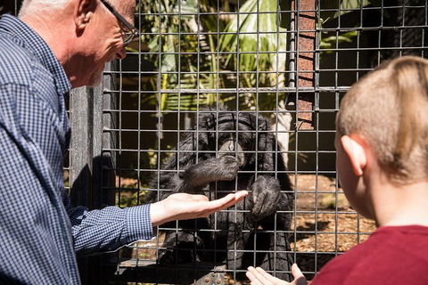 Adelaide Zoo Behind The Scenes Experience: Meet The Primates - Accommodation Kalgoorlie 1