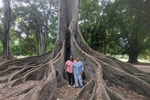 A Taste Of Adelaide And Hahndorf By Car Private Tour. - Accommodation Kalgoorlie 11