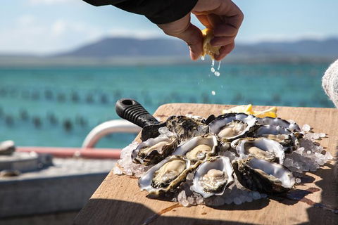 Experience Coffin Bay Oyster Farm And Bay Tour - Accommodation Kalgoorlie 0