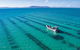 Experience Coffin Bay Oyster Farm And Bay Tour - thumb 1