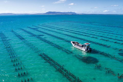 Experience Coffin Bay Oyster Farm And Bay Tour - Accommodation Kalgoorlie 1