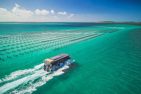 Experience Coffin Bay Oyster Farm And Bay Tour - Accommodation Kalgoorlie 2