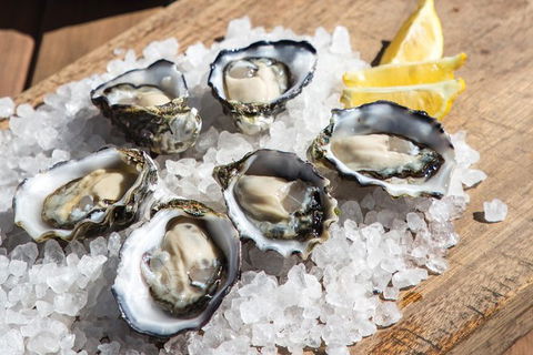 Experience Coffin Bay Oyster Farm And Bay Tour - Accommodation Kalgoorlie 3