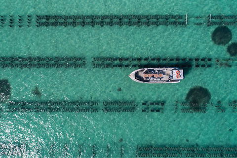 Experience Coffin Bay Oyster Farm And Bay Tour - Accommodation Kalgoorlie 4
