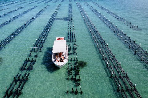 Experience Coffin Bay Oyster Farm And Bay Tour - Accommodation Kalgoorlie 8