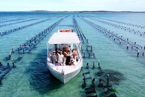 Experience Coffin Bay Oyster Farm And Bay Tour - Accommodation Kalgoorlie 12