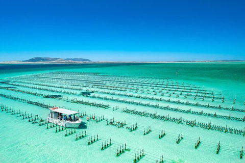 Experience Coffin Bay Oyster Farm And Bay Tour - Accommodation Kalgoorlie 7
