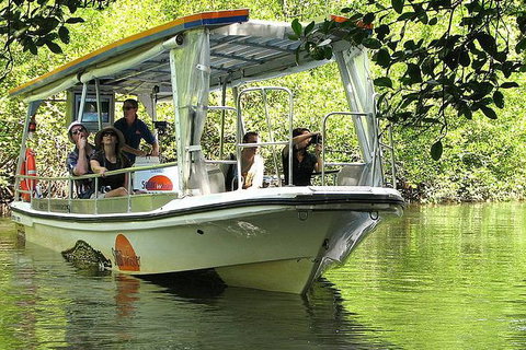 5-Day Best Of Cairns With Daintree, Kuranda, And Great Barrier Reef - Accommodation Kalgoorlie 8