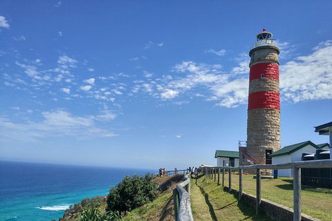 Cape Moreton Scenic 4WD Day Tour From Brisbane Or The Gold Coast - Accommodation Kalgoorlie 6