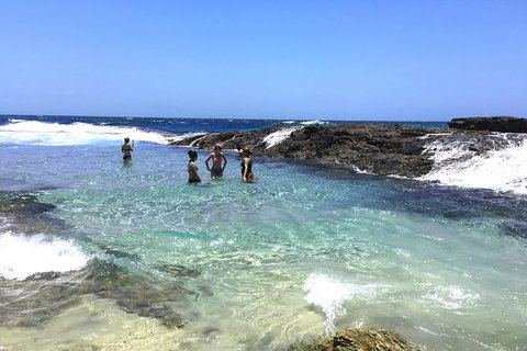 Cape Moreton Scenic 4WD Day Tour From Brisbane Or The Gold Coast - Accommodation Kalgoorlie 3