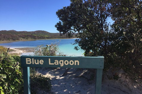 Cape Moreton Scenic 4WD Day Tour From Brisbane Or The Gold Coast - Accommodation Kalgoorlie 4