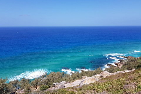 Cape Moreton Scenic 4WD Day Tour From Brisbane Or The Gold Coast - Accommodation Kalgoorlie 7