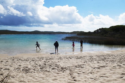 Cape Moreton Scenic 4WD Day Tour From Brisbane Or The Gold Coast - Accommodation Kalgoorlie 5