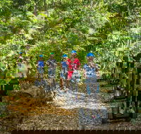 Whitsunday Segway Rainforest Discovery Tour
