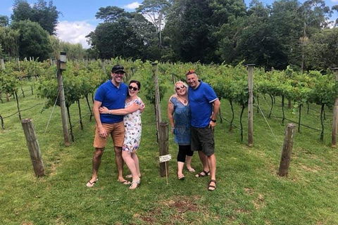 Full Day Mount Tamborine Winery Tour From Gold Coast - Accommodation Kalgoorlie 6