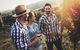 Full Day Mount Tamborine Winery Tour From Gold Coast - thumb 13