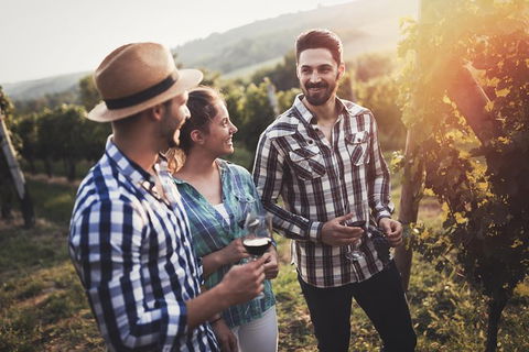Full Day Mount Tamborine Winery Tour From Gold Coast - Accommodation Kalgoorlie 13