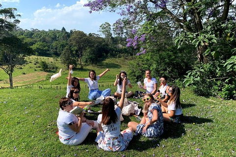 Full Day Mount Tamborine Winery Tour From Gold Coast - Accommodation Kalgoorlie 11