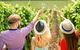 Full Day Mount Tamborine Winery Tour From Gold Coast - thumb 14