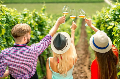 Full Day Mount Tamborine Winery Tour From Gold Coast - Accommodation Kalgoorlie 14