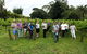 Full Day Mount Tamborine Winery Tour From Gold Coast - thumb 7