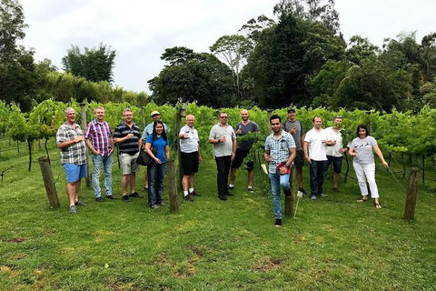 Full Day Mount Tamborine Winery Tour From Gold Coast - Accommodation Kalgoorlie 7