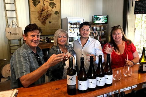 Full Day Mount Tamborine Winery Tour From Gold Coast - Accommodation Kalgoorlie 4