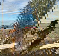 Goolimbil Walkabout Indigenous Experience in the Town of 1770 - Accommodation Kalgoorlie