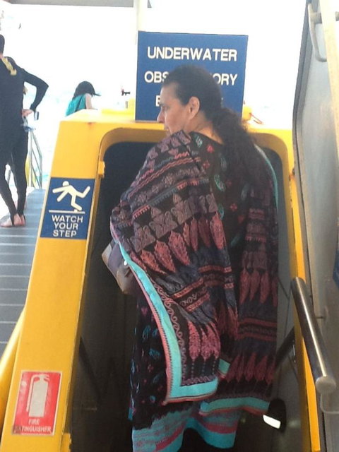 Quicksilver Outer Great Barrier Reef Snorkel Cruise From Palm Cove - Accommodation Kalgoorlie 3