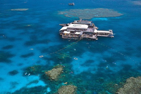 Quicksilver Outer Great Barrier Reef Snorkel Cruise From Palm Cove - Accommodation Kalgoorlie 7