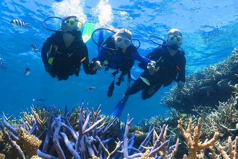 Quicksilver Outer Great Barrier Reef Snorkel Cruise From Palm Cove - Accommodation Kalgoorlie 11