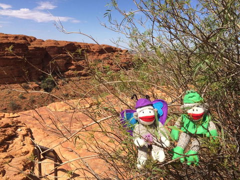 Kings Canyon Day Trip From Ayers Rock - Accommodation Kalgoorlie 23