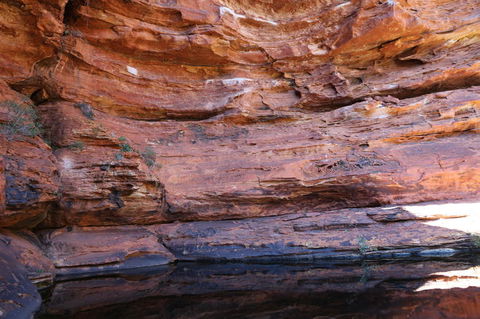 Kings Canyon Day Trip From Ayers Rock - Accommodation Kalgoorlie 16
