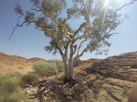 Kings Canyon Day Trip From Ayers Rock - Accommodation Kalgoorlie 3