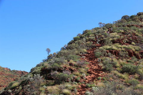 Kings Canyon Day Trip From Ayers Rock - Accommodation Kalgoorlie 21