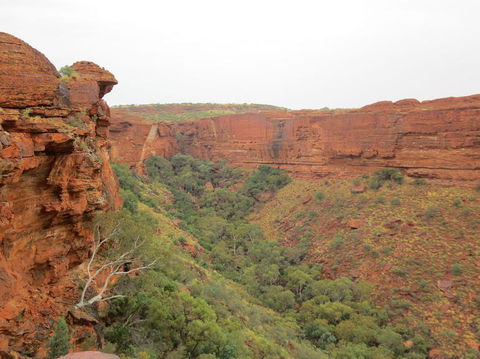 Kings Canyon Day Trip From Ayers Rock - Accommodation Kalgoorlie 13
