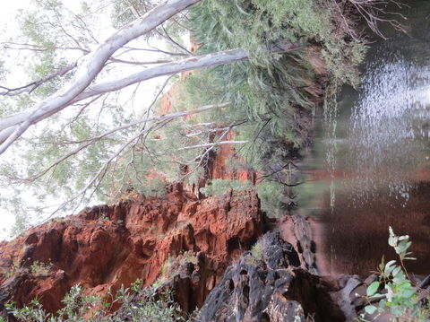Kings Canyon Day Trip From Ayers Rock - Accommodation Kalgoorlie 11