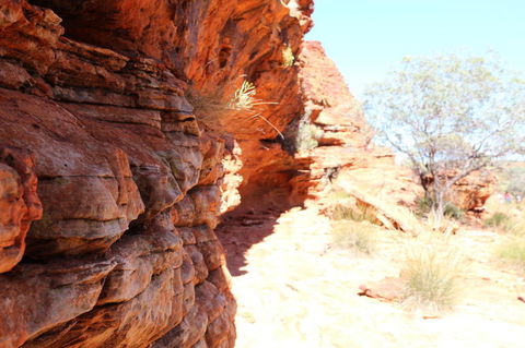 Kings Canyon Day Trip From Ayers Rock - Accommodation Kalgoorlie 20