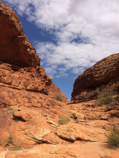 Kings Canyon Day Trip From Ayers Rock - Accommodation Kalgoorlie 25