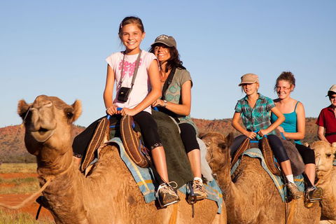 Alice Springs Camel Tour - Accommodation Kalgoorlie 1