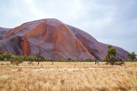 Uluru Base And Sunset Half-Day Trip With Optional Outback BBQ Dinner - Accommodation Kalgoorlie 10