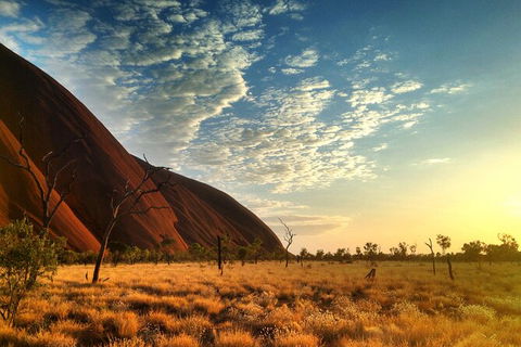 Highlights Of Uluru Including Sunrise And Breakfast - Accommodation Kalgoorlie 5