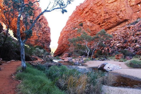Half Day MacDonnell Ranges Small Group - Private Guided Tour - Accommodation Kalgoorlie 0