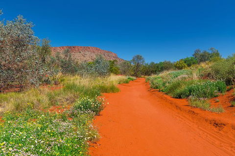 Alice Springs Desert Park General Entry Ticket - Accommodation Kalgoorlie 7