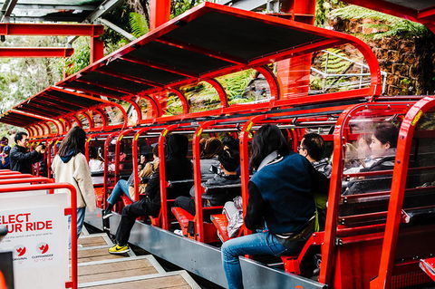 All-Inclusive Blue Mountains Day Trip With River Cruise - Accommodation Kalgoorlie 7