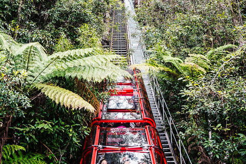 All-Inclusive Blue Mountains Day Trip With River Cruise - Accommodation Kalgoorlie 6