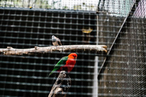 All-Inclusive Blue Mountains Day Trip With River Cruise - Accommodation Kalgoorlie 17