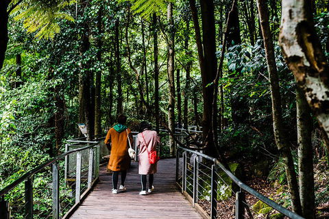 All-Inclusive Blue Mountains Day Trip With River Cruise - Accommodation Kalgoorlie 10