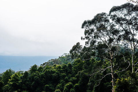All-Inclusive Blue Mountains Day Trip With River Cruise - Accommodation Kalgoorlie 18